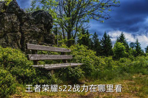 王者荣耀s22战力在哪里看