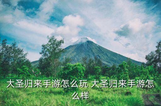 大圣归来手游怎么加点，梦幻西游手游普陀山如何加点