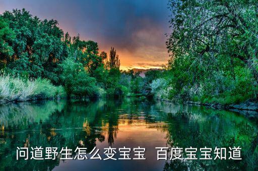 问道野生怎么变宝宝  百度宝宝知道