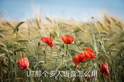 方舟手游多人怎么使用语音，怎么三个人一起开语音