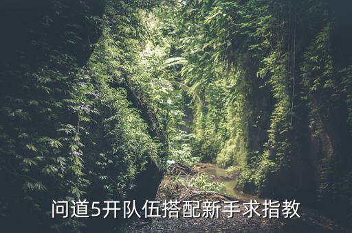 问道5开队伍搭配新手求指教