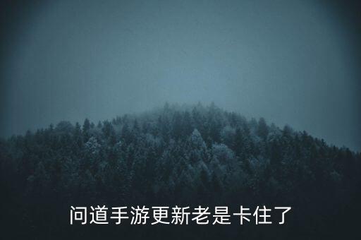 问道手游更新老是卡住了