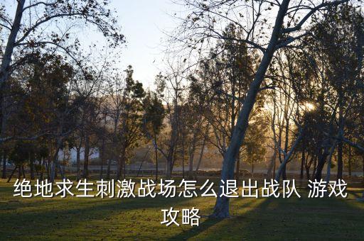 绝地求生刺激战场怎么退出战队 游戏攻略