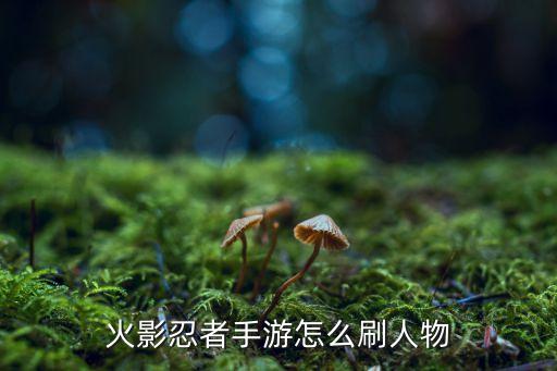 火影忍者手游典韦怎么获得，典韦无畏之灵如何获得
