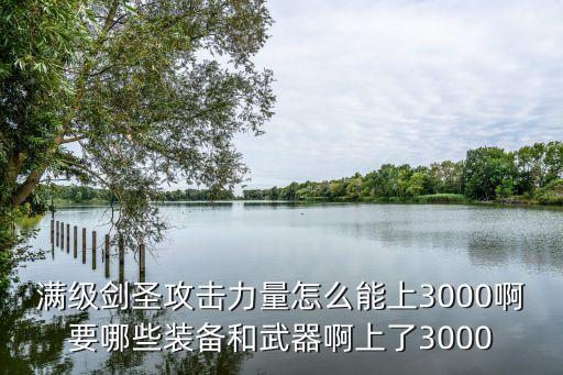 满级剑圣攻击力量怎么能上3000啊要哪些装备和武器啊上了3000