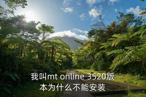 我叫mt online 3520版本为什么不能安装