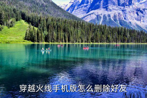 火影手游怎么删除微信好友，怎么样删除游戏好友