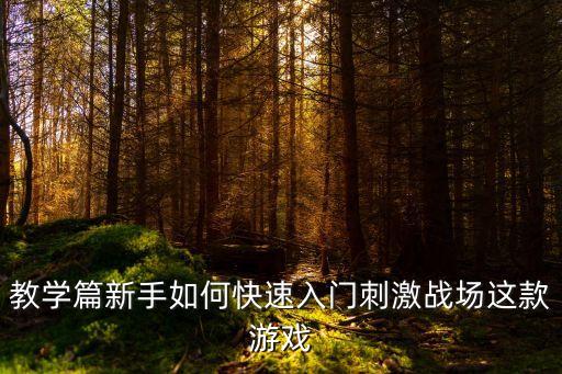 刺激战场手游平民吃鸡怎么玩，刺激战场有什么吃鸡技巧吗