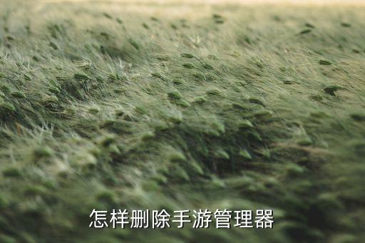 手游管理器怎么卸载电脑软件推荐，怎样才可以卸掉手游管理器