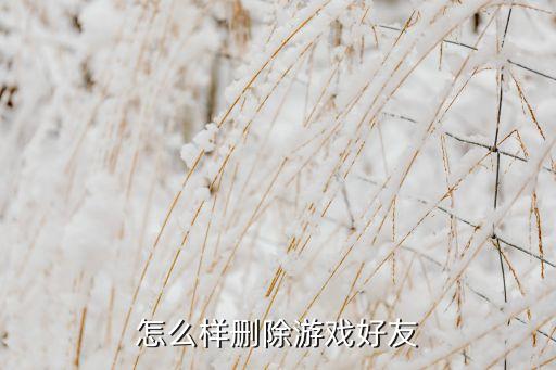 怎么样删除游戏好友