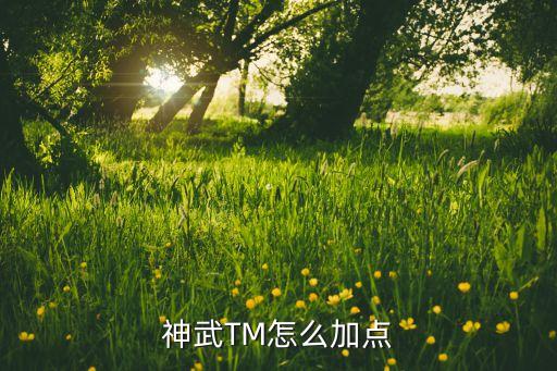 神武TM怎么加点