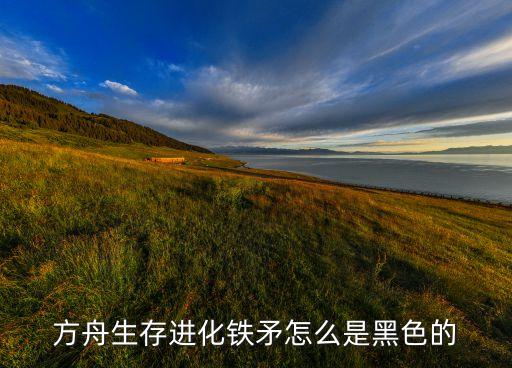 方舟生存进化铁矛怎么是黑色的