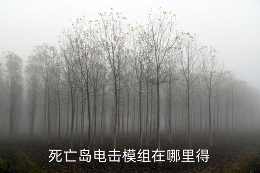 死亡岛电击模组在哪里得