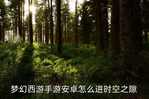 梦幻西游手游安卓怎么进时空之隙