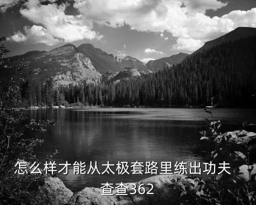 怎么样才能从太极套路里练出功夫  查查362