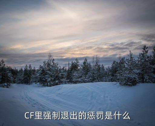 cf手游强制退出怎么处罚，穿越火线强制退出会有哪些惩罚