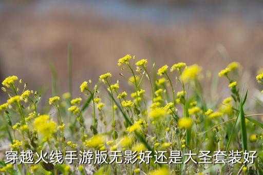 穿越火线手游无影玩具怎么样，穿越火线手游到底是买屠龙好还是买无影好注意是手游啊