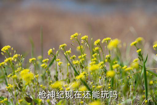 枪神记手游怎么开服，枪神纪下载好了怎么开始游戏