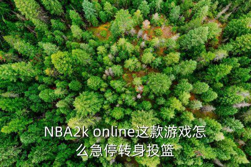 NBA2k online这款游戏怎么急停转身投篮