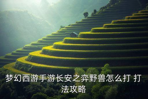 梦幻西游手游长安之弈野兽怎么打 打法攻略