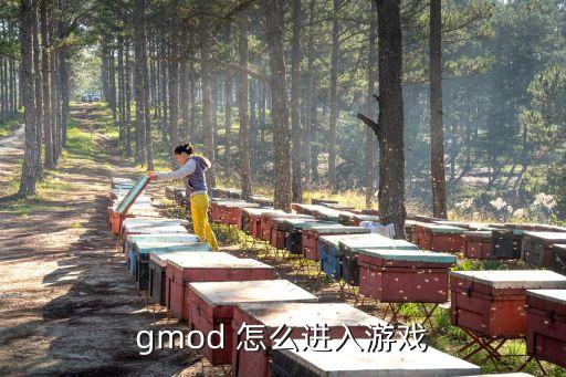 gmod 怎么进入游戏