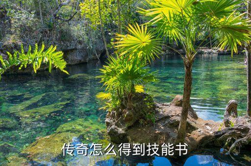 传奇怎么得到技能书