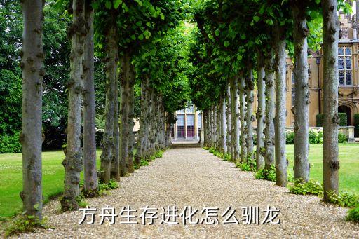 方舟生存进化怎么驯龙