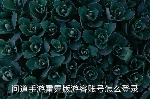 问道手游雷霆版游客账号怎么登录