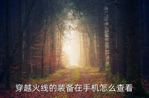 穿越火线的装备在手机怎么查看