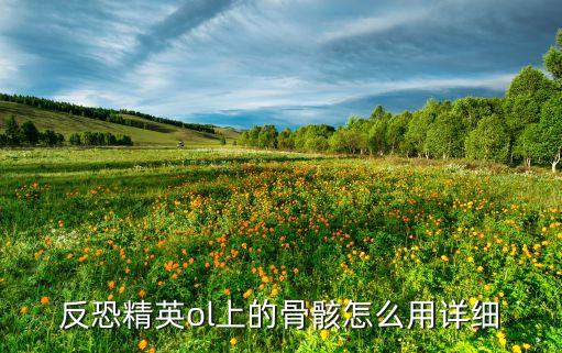 反恐精英ol上的骨骸怎么用详细