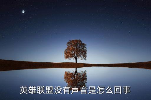 英雄联盟没有声音是怎么回事