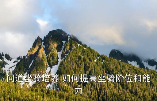 问道坐骑培养 如何提高坐骑阶位和能力