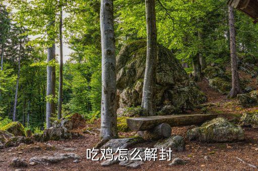 手游吃鸡禁赛24小时怎么解除，吃鸡怎么解封