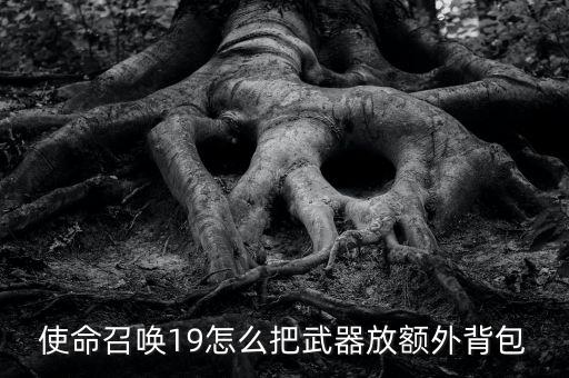 使命召唤19怎么把武器放额外背包