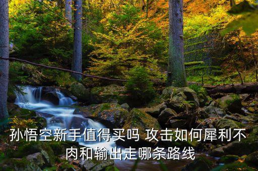 孙悟空新手值得买吗 攻击如何犀利不 肉和输出走哪条路线