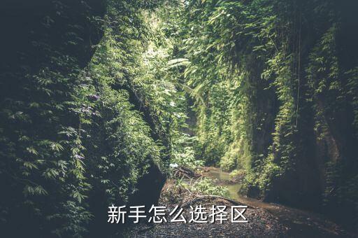 新手怎么选择区