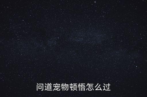 问道宠物顿悟怎么过