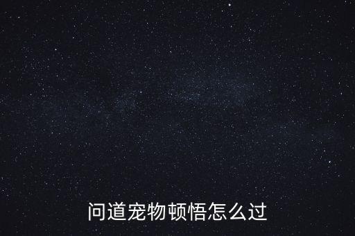 问道宠物顿悟怎么过