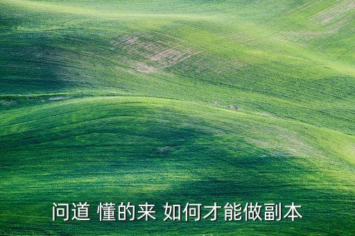 问道 懂的来 如何才能做副本