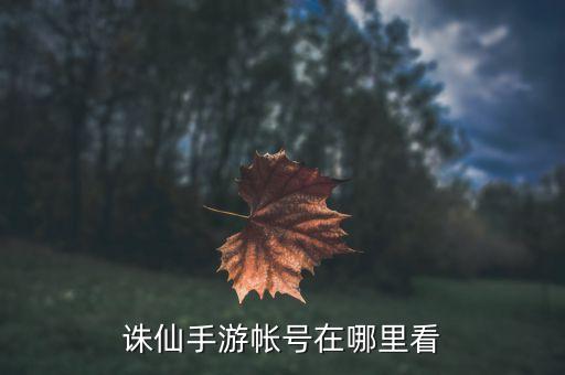 诛仙手游帐号在哪里看