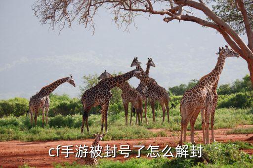 cf手游被封号了怎么解封