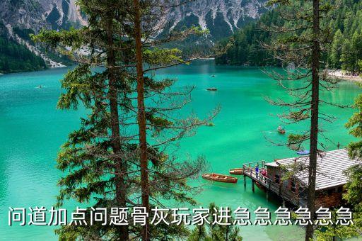 问道加点问题骨灰玩家进急急急急急急