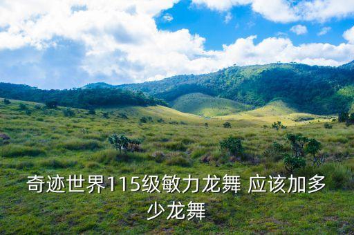 奇迹世界115级敏力龙舞 应该加多少龙舞