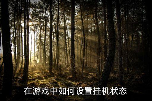 在游戏中如何设置挂机状态
