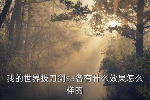 我的世界拔刀剑sa各有什么效果怎么样的