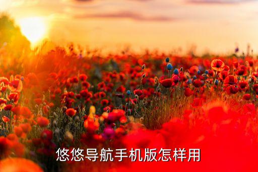 正当防卫4手游版怎么操作，悠悠导航手机版怎样用