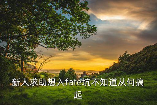 新人求助想入fate坑不知道从何搞起