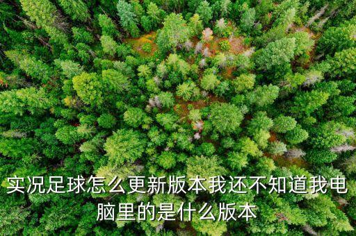 实况足球怎么更新版本我还不知道我电脑里的是什么版本