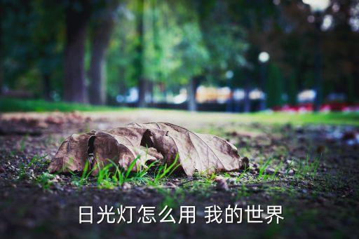 火影忍者手游日光灯怎么用，火影忍者在游戏里怎样设置键盘行走