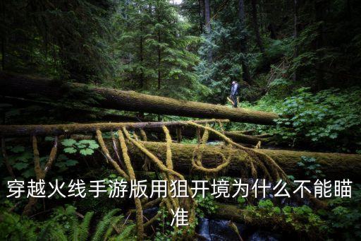 玩穿越火线手游耍狙打不准怎么办，穿越火线手游版用狙开境为什么不能瞄准